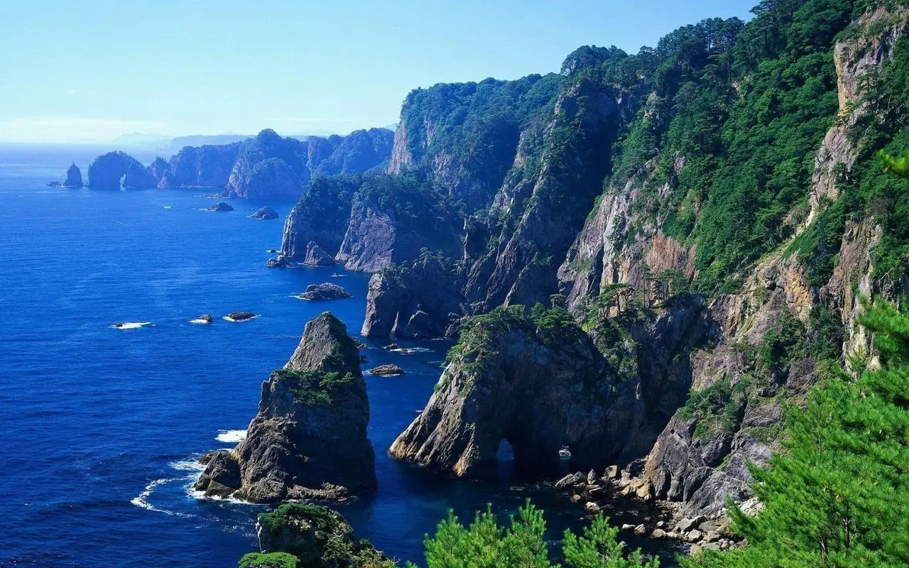 高性能独特高标准